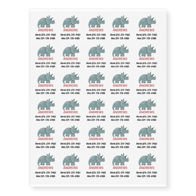 Child Safety Lost Phone Number Fun Dinosaur Temporary Tattoos (Front)