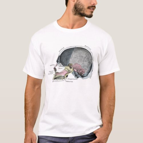 Child Skull with color T_Shirt