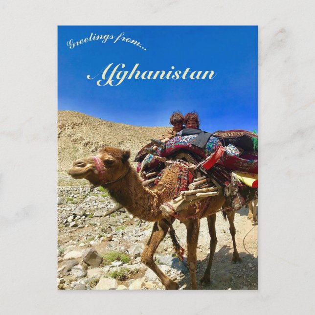 Children on a Camel in Herat Afghanistan Postcard (Front)