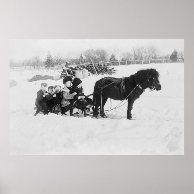 Children on Pony Drawn Sled Photograph Poster (Front)