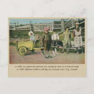 Children with dog cart, Gaspe Coast Quebec Canada Postcard