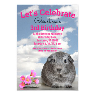 Guinea Pig Invitations | Zazzle