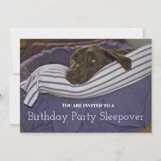 Children's Birthday Party Sleepy Dog Sleepover Invitation