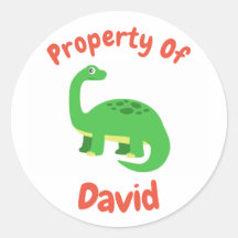 Childrens Diplodocus Dinosaur Custom Name