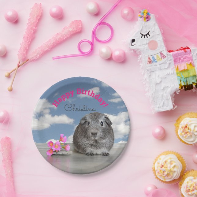 Children's Happy Birthday Party Guinea Pig Sky Paper Plates (Party)