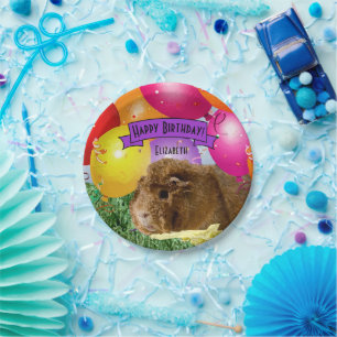 Children's Name Birthday Guinea Pig Party Balloons Paper Plates