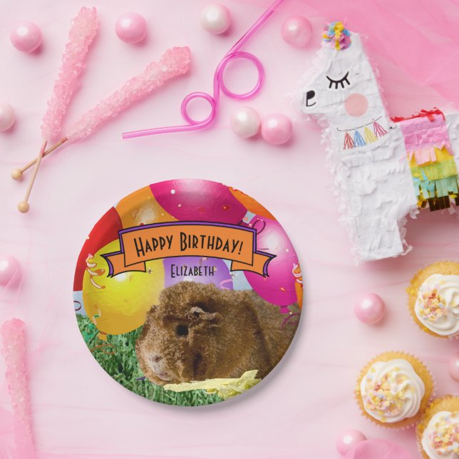 Children's Name Happy Birthday Guinea Pig Party Paper Plates (Party)