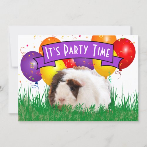 Childs 3rd Birthday Party Guinea Pig Balloons Invitation