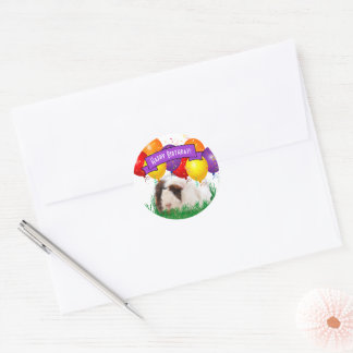 Child's Birthday Cute Guinea Pig Balloon Custom Classic Round Sticker