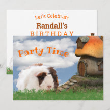 Child's Birthday Party Guinea Pig Mushroom House
