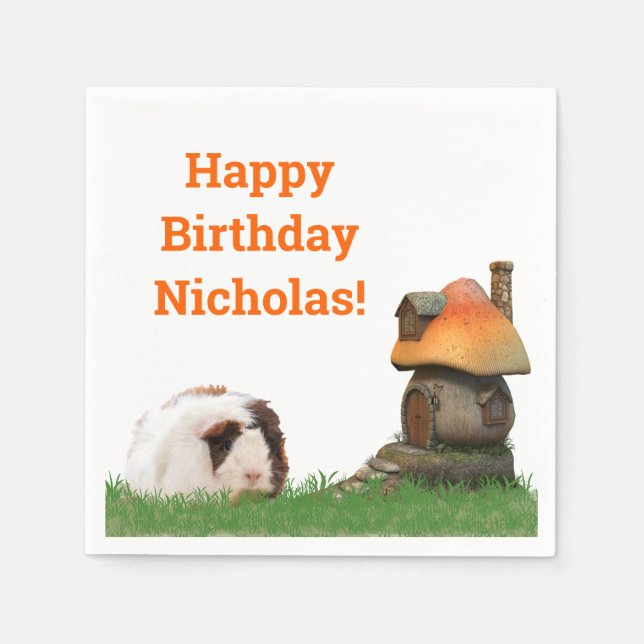 Child's Happy Birthday Guinea Pig Mushroom House Napkins (Front)