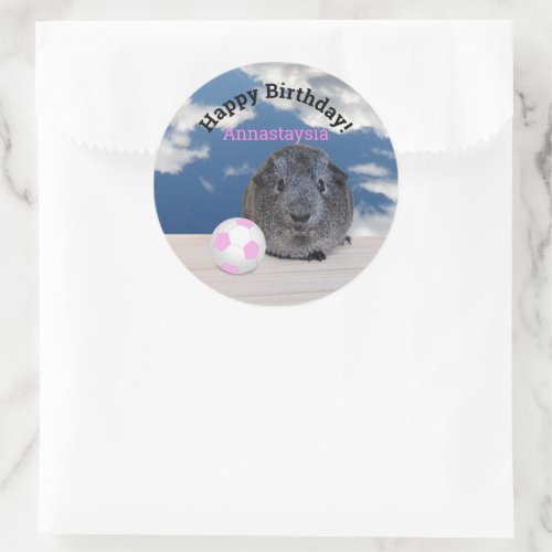 Childs Happy Birthday Guinea Pig Pink Soccer Ball Classic Round Sticker