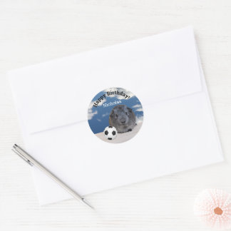 Child's Happy Birthday Guinea Pig Soccer Ball Classic Round Sticker