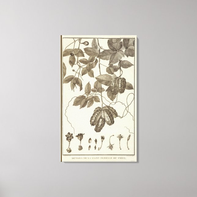 Chile 10 canvas print (Front)