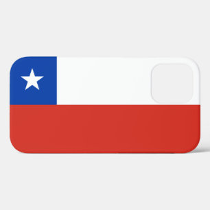 Chile iPhone 12 Case
