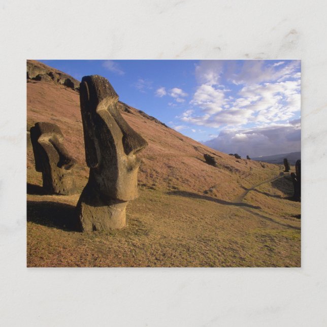 Chile, Easter Island. Hillside with Moai Postcard (Front)