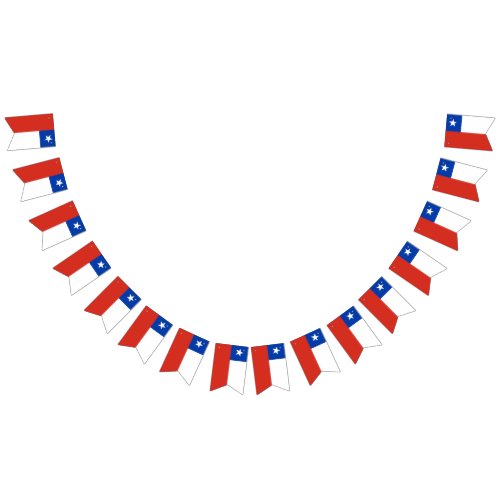 Chile flag bunting banner