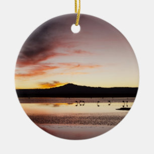 Chilean Flamingo Ceramic Ornament