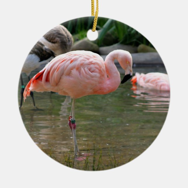 Chilean Flamingo Ceramic Ornament (Front)