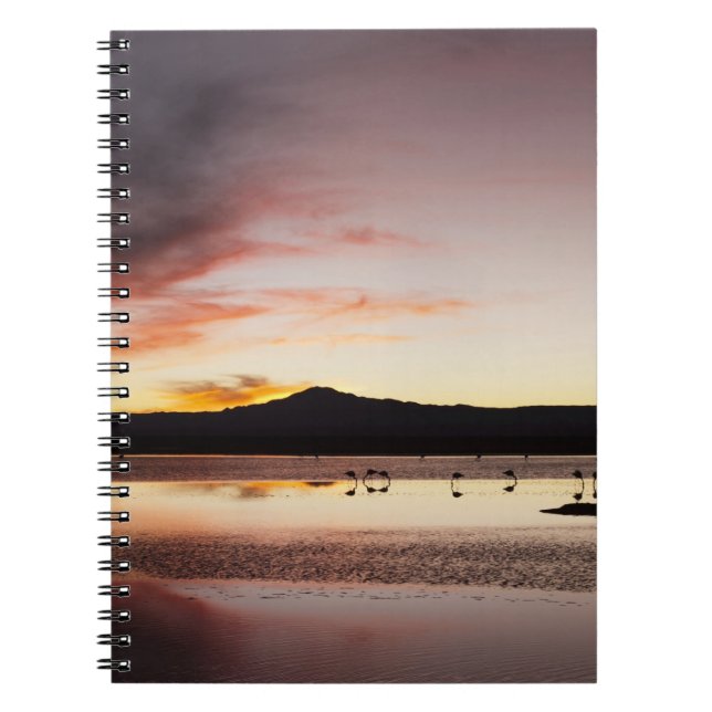 Chilean Flamingo Notebook (Front)
