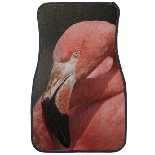 Chilean Flamingo Phoenicopterus chilensis Car Floor Mat