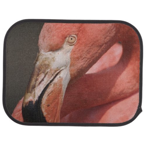 Chilean Flamingo Phoenicopterus chilensis Car Mat