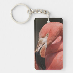 Chilean Flamingo, Phoenicopterus chilensis Keychain