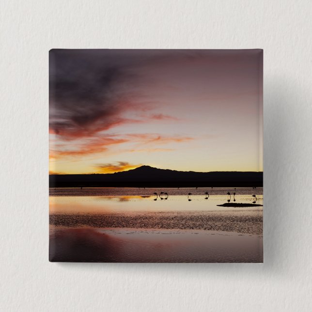 Chilean Flamingo Pinback Button (Front)