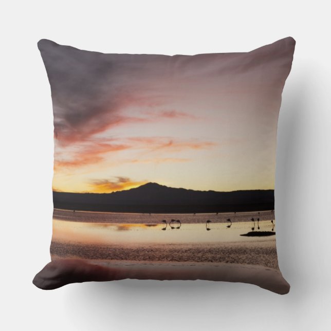Chilean Flamingo Throw Pillow (Front)