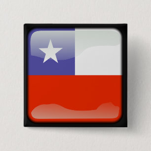 Chilean polished flag button