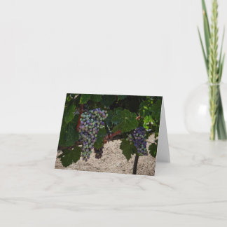 Chilean Vineyard Thank You Card