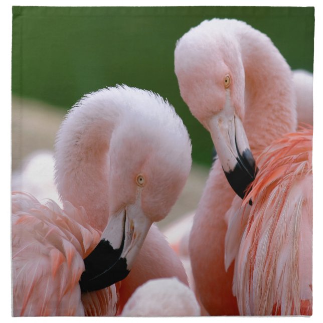 Chilensis flamingos cloth napkin (Front)