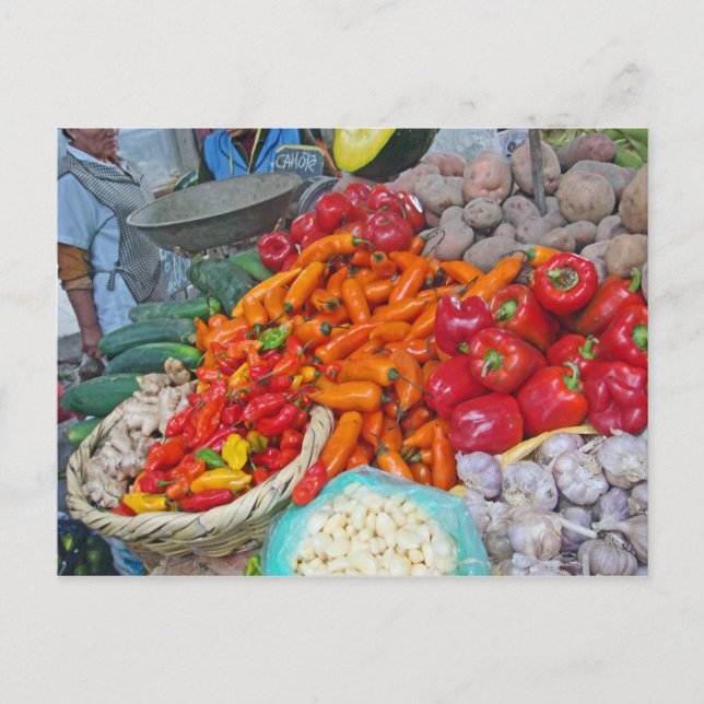 Chiles and More Postcard (Front)