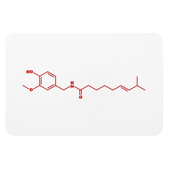 Chili Capsaicin Molecular Chemical Formula Magnet (Horizontal)