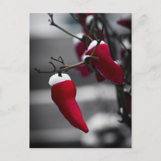 Chili Christmas Cards