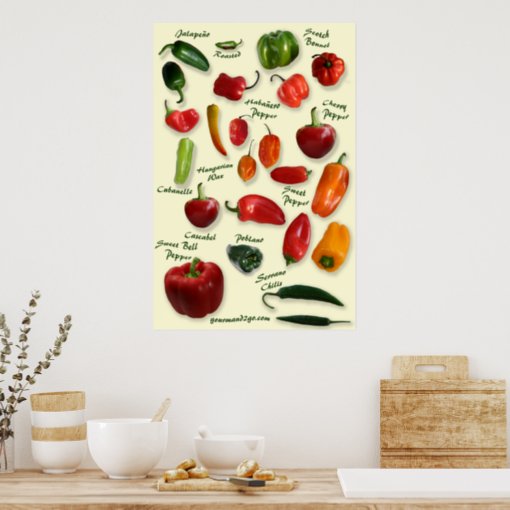 Chili ID Poster | Zazzle