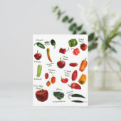 Chili Pepper ID (Standing Front)