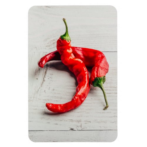 Chili pepper magnet