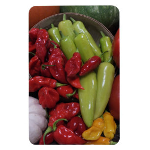 Chili Peppers Etc. Magnet