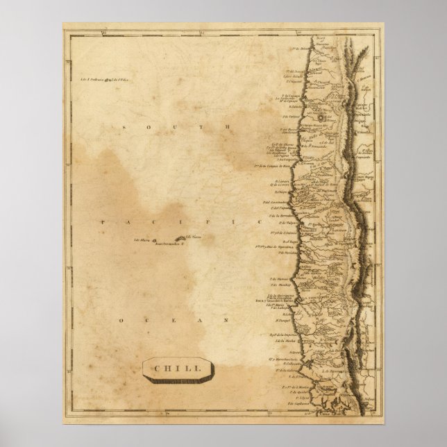 Chili Poster (Front)