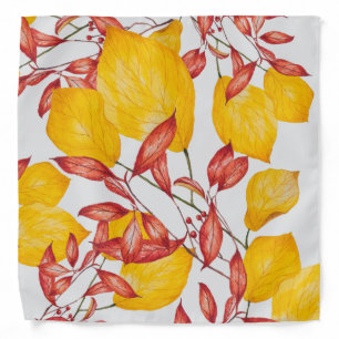 Chili & Turmeric on a Bandana