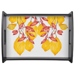 Chili & Turmeric on a Serving Tray