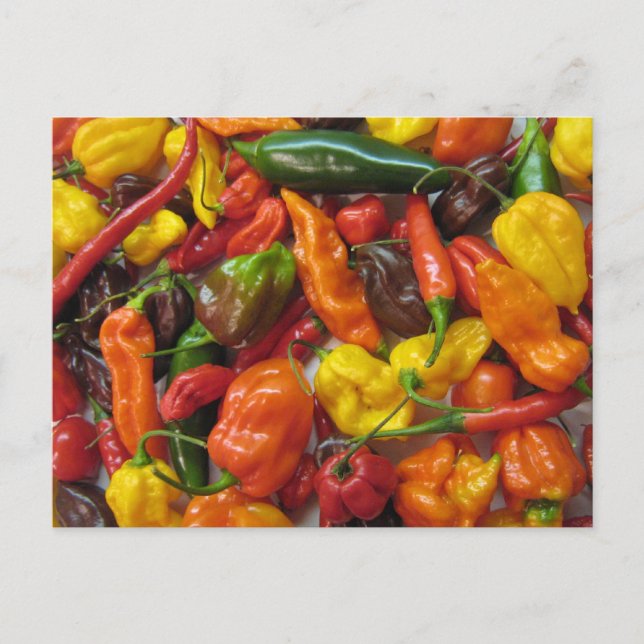 Chilihead card (Front)