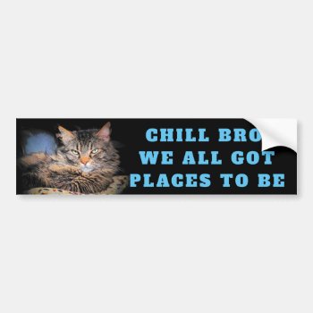Chill Bro  We All Got Places To Be Cat Meme Bumper Sticker by talkingbumpers at Zazzle
