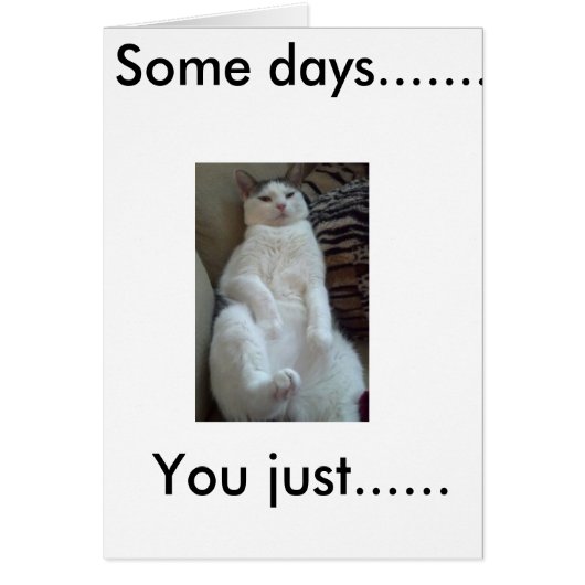 Chill cat says it all... (Front)