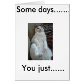 Chill cat says it all... cards (Front)