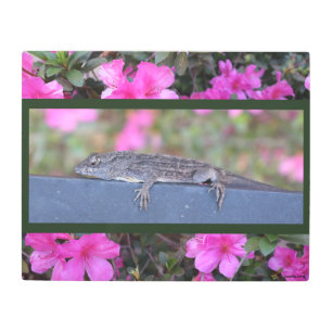 Chill in the Heat Metal Print