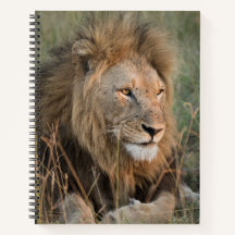 Chill Lion Personalize Name