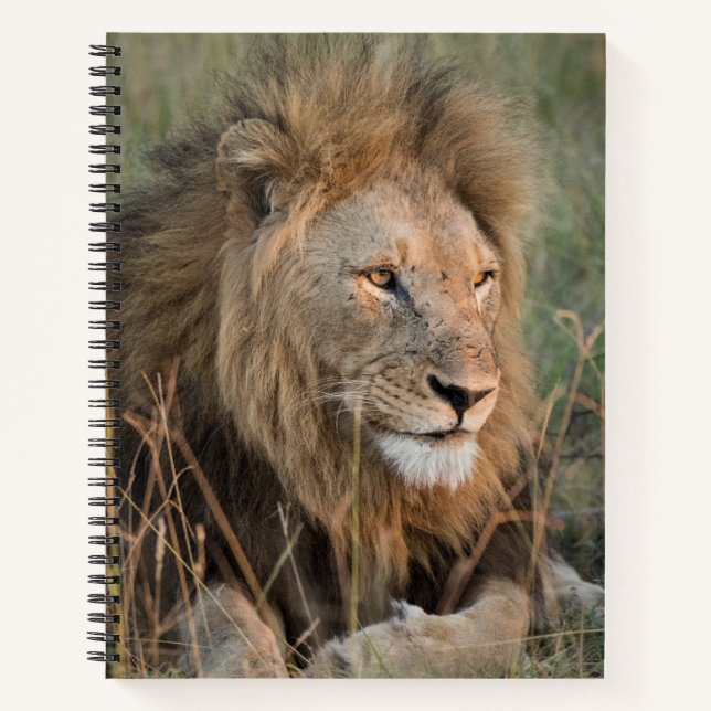 Chill Lion Personalize Name Notebook (Front)