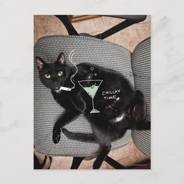 Chillax Cat Postcard (Front)